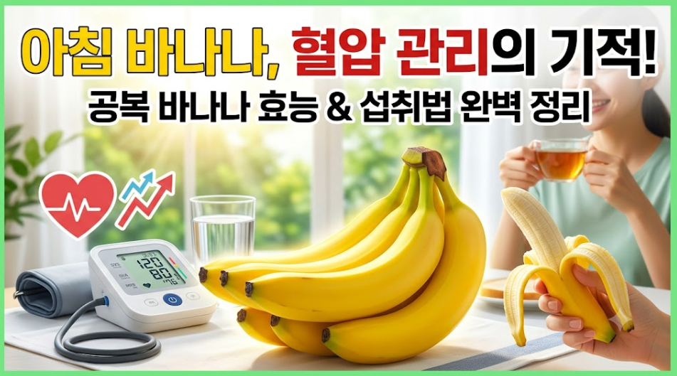 바나나효능 아침 공복 혈압 완벽 정리